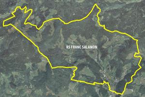 Krajevna skupnost Franc Salamon